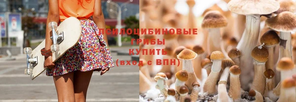 PSILOCYBIN Навашино