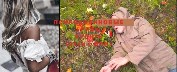 mdpv Надым
