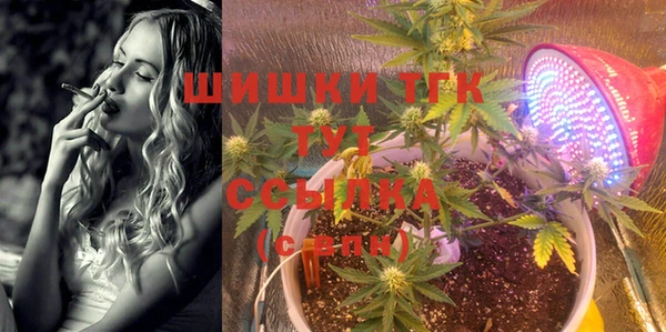 ECSTASY Коряжма