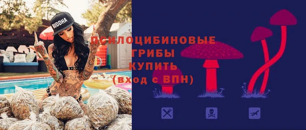 ECSTASY Коряжма