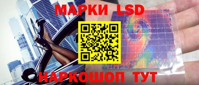 дмт Гатчина