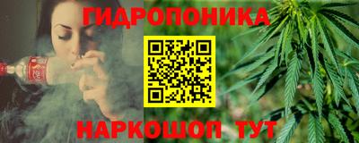 дмт Гатчина