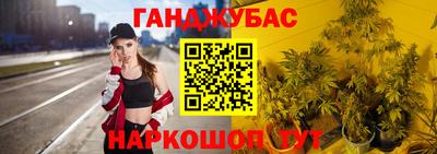дмт Гатчина