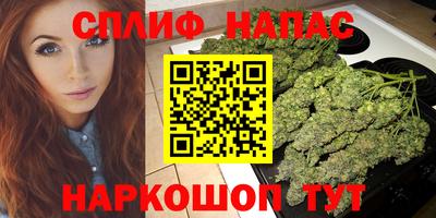 дмт Гатчина