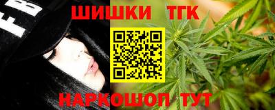 дмт Гатчина