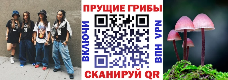 Псилоцибиновые грибы Cubensis  купить   Коломна 