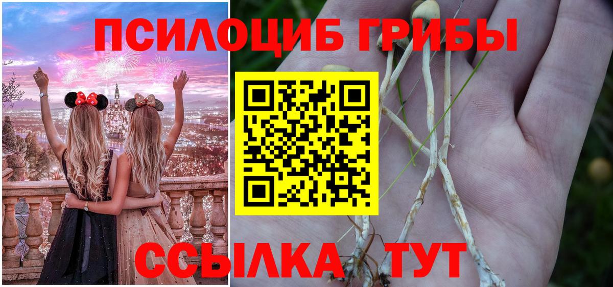 Галлюциногенные грибы Cubensis  Вход с VPN  Коломна 