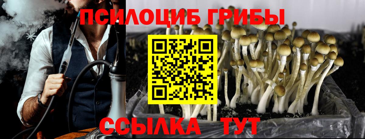 Галлюциногенные грибы прущие грибы Коломна